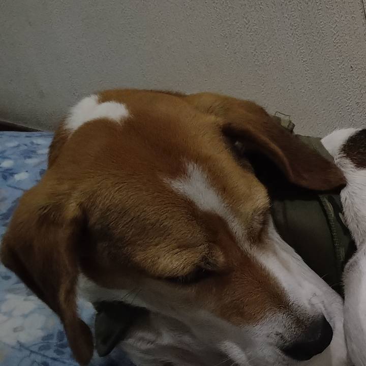 F69a13bc 9600 4f1d 812f b55365372bad 1673254622695