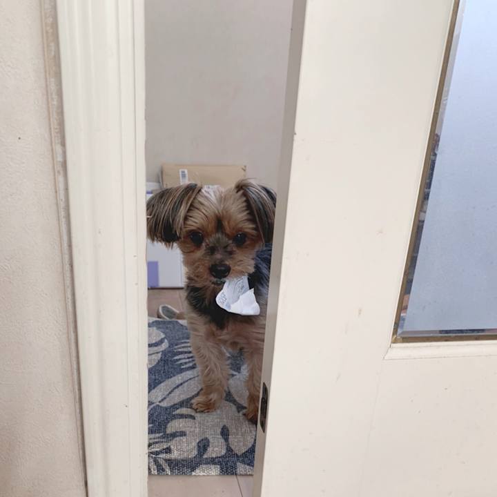 F69a2f36 854a 4847 85e1 f93ba50ffa98 1640145706923