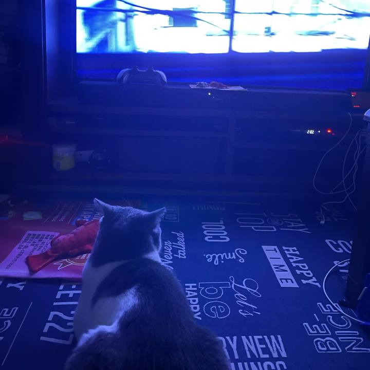 F69a3728 5b09 42d3 b976 708510db7a50 1723896195923