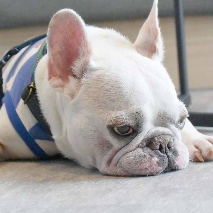 F69a3a22 4367 4c20 8e18 93c6a75a20bc 1626836890645