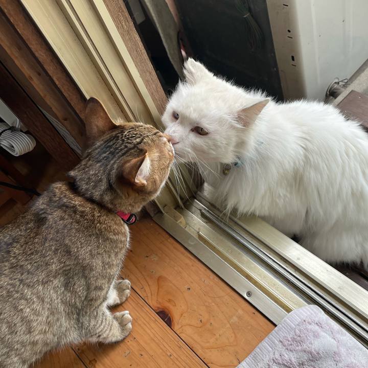 F69a7b32 b690 4e0c a5bb c7388643f01a 1745582834756