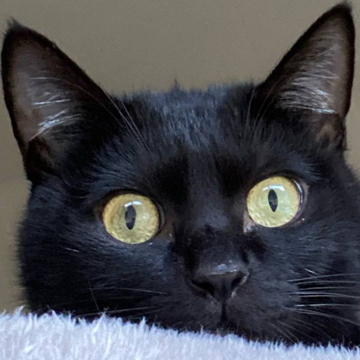 F69a7efd 28dd 4bb9 9c8c 1f17fefce7cd 1640949814695