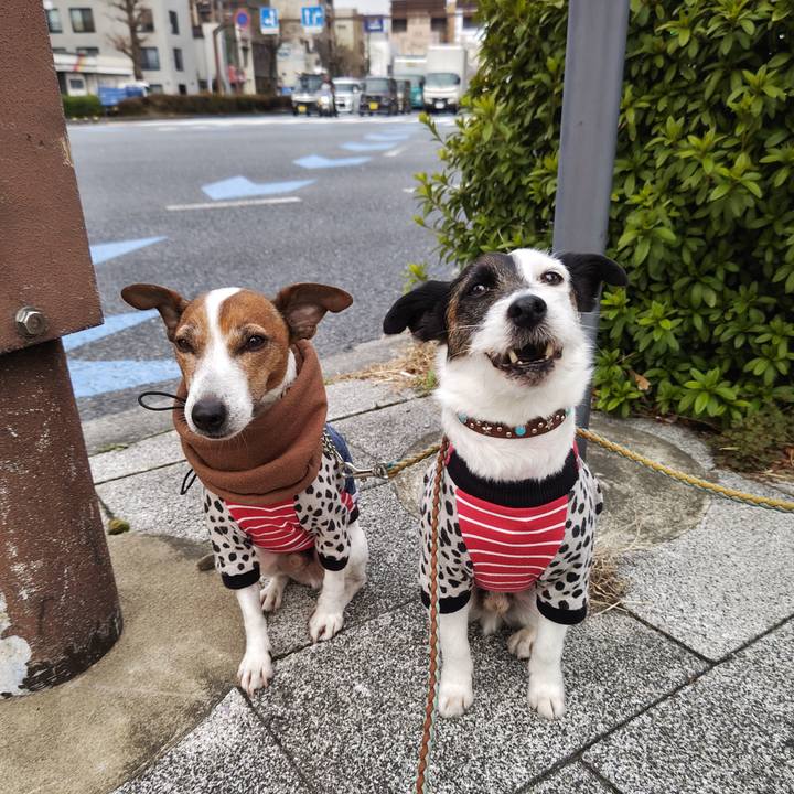 F69a8a89 f05a 4925 b86d d76f258df12e 1741993810069