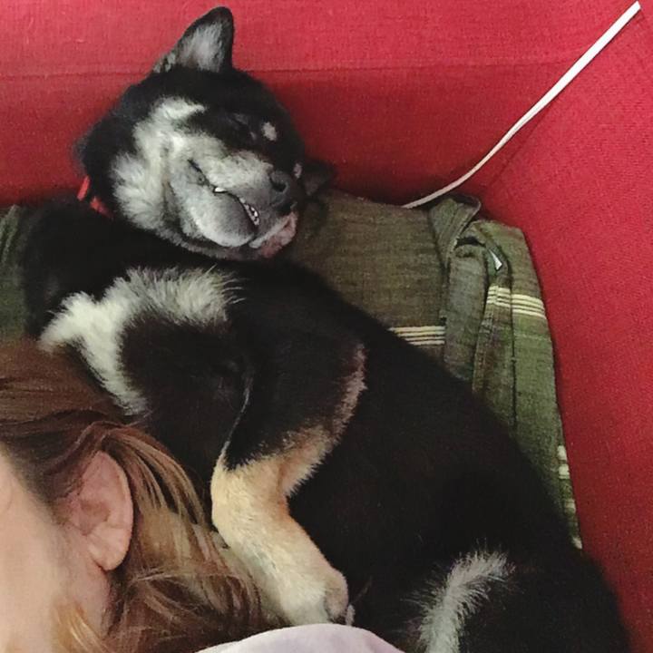 F69abe9f f626 462d 9225 bbc0ba4cc415 1563071413922