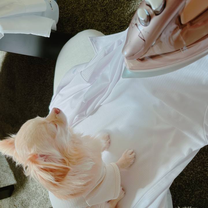 F69ac3b4 e556 4318 b514 a85b82eae699 1651986928662