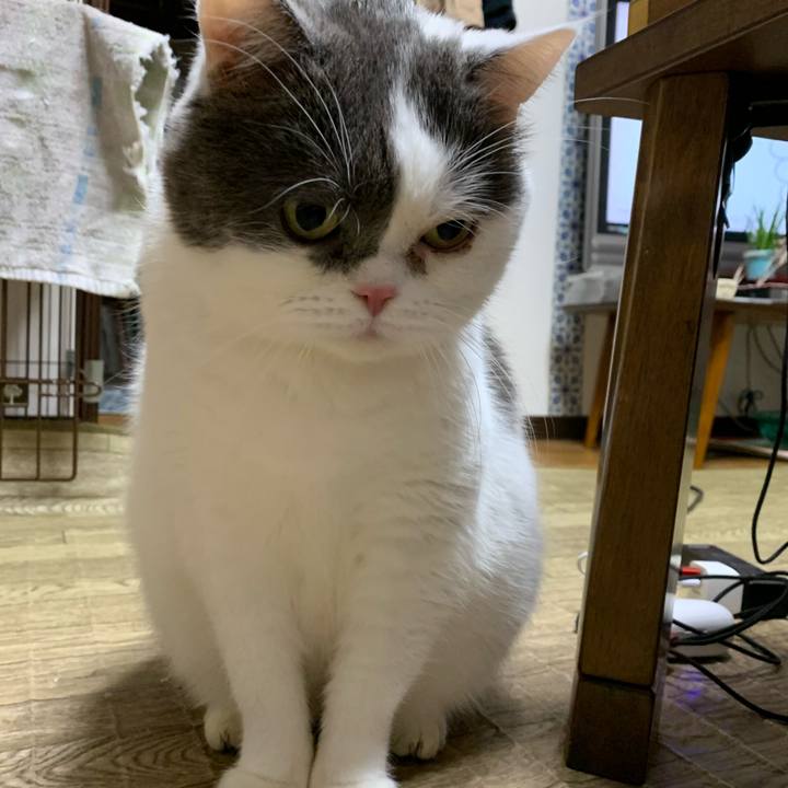 F69ad3cd cf50 4375 92e3 02eca2857afe 1609941034843