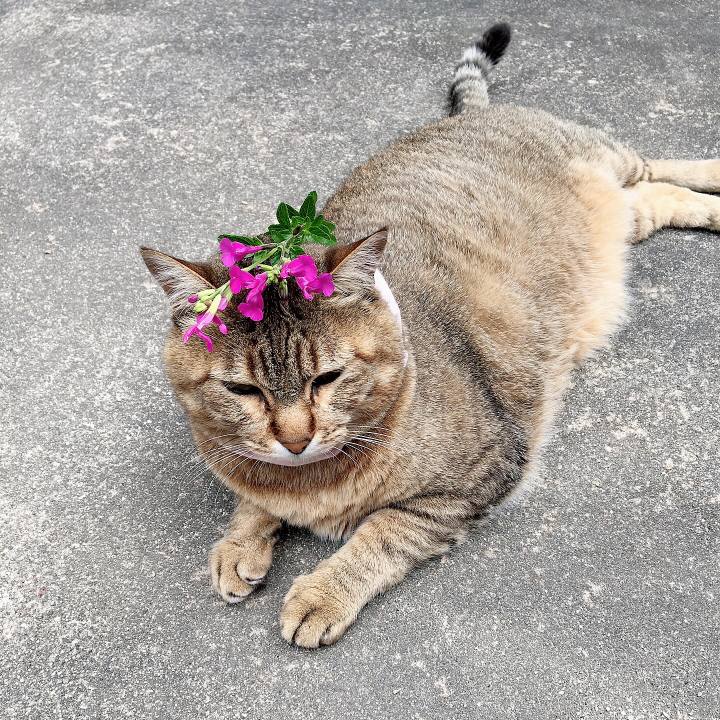 F69ad9b1 60dc 465c 85f0 38d5c43f969e 1624687190156