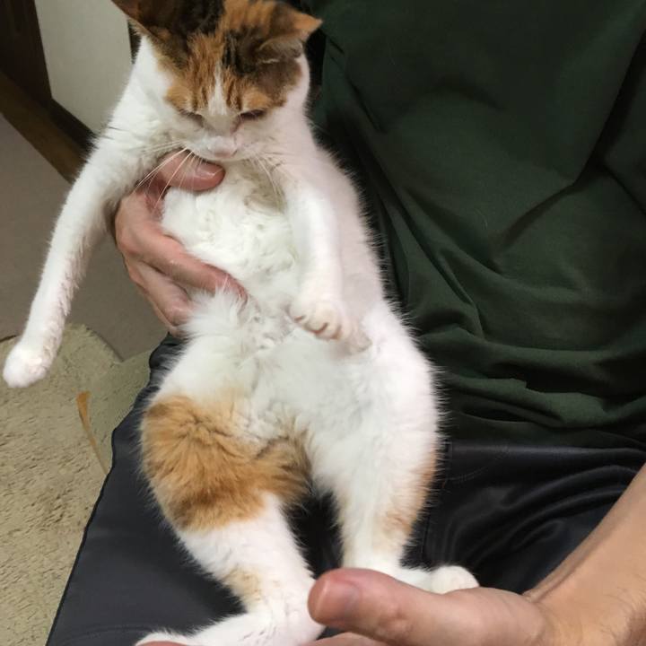 F69aff8e bd51 4a39 ae0e 152fd2c19e69 1540721592586