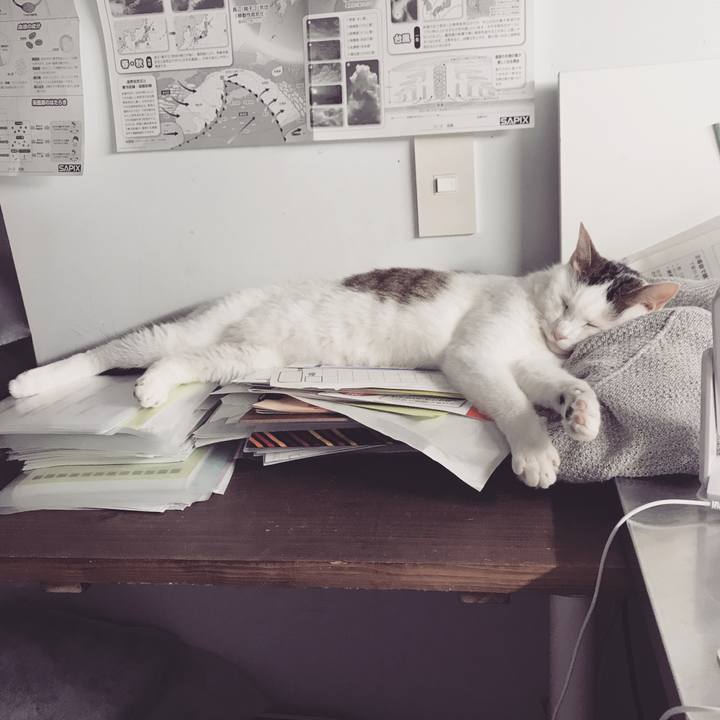 F69affb3 5344 4e7c 8cfe 1527b22f62e3 1567526605411