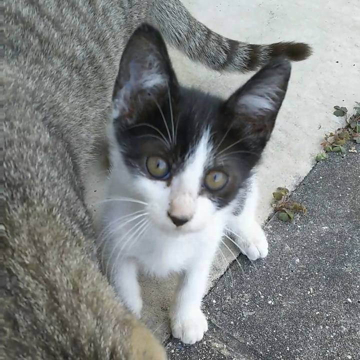 F69b18a8 6a94 426f 9726 ea81ec5c66fb 1542960556164