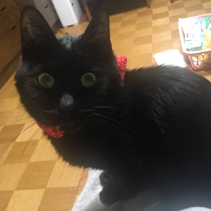 F69b2453 ceea 4f7f 802b 70448786a902 1552731600325