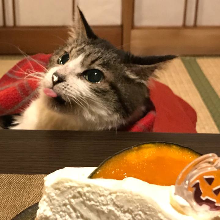 F69b2e32 16f2 4477 afa7 19b8ca97b72b 1509118723568