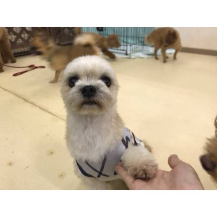 F69b5490 18e3 4cf6 a1f3 ad2e903aa9c4 1537354709680