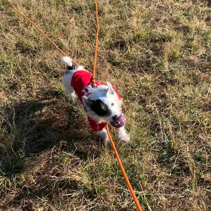 F69b65a5 6f36 421b b477 0b2686fc57e2 1700612410827