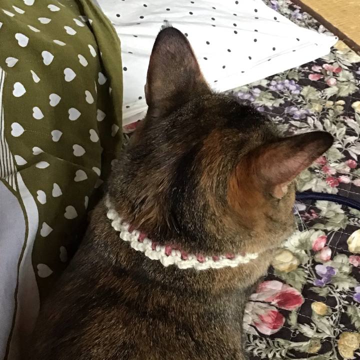 F69b7ab0 beaa 4bba adf4 5fc13fca618f 1649904703714