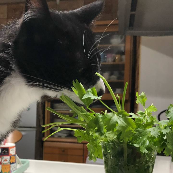 F69b829c 5593 4dd7 9a87 f5aa0f9d6540 1626147363169