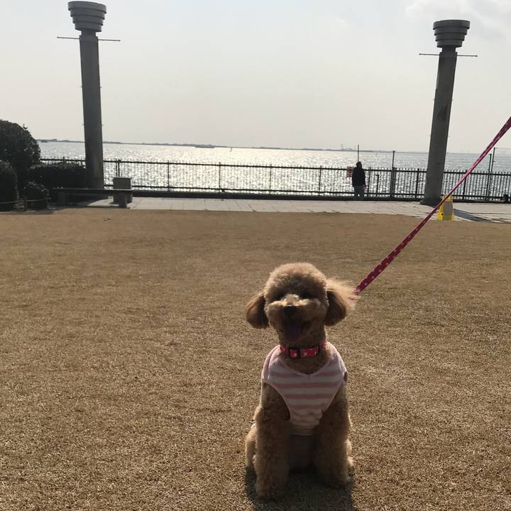 F69b8c2c 4e23 4cf0 a43f a9ed07e2888e 1520750105245