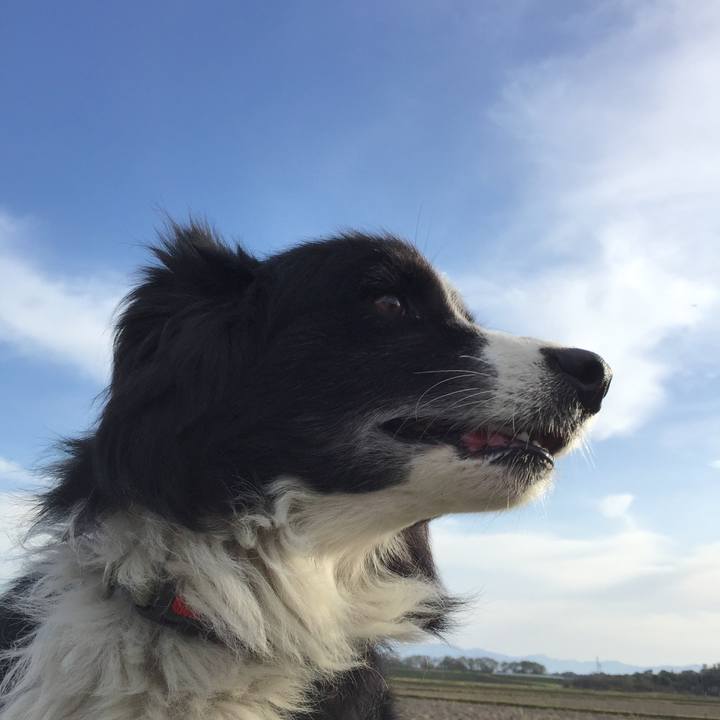 F69b9488 2312 4ffc 80ae ecd8b9159e02 1573954609619