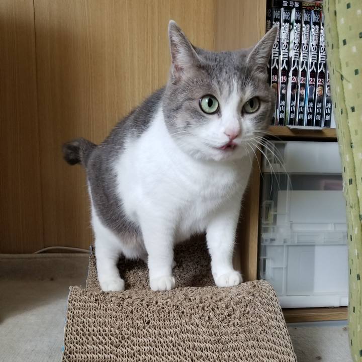 F69bae6b c560 462b b642 64f8b7e8e64c 1665153223082