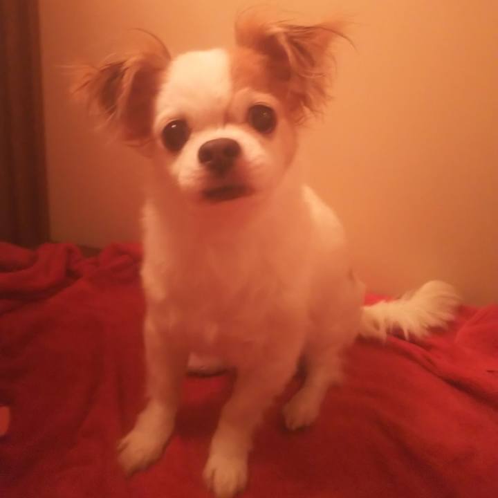 F69bbaae 219b 428b 8208 c67ca4e8f466 1589979507953