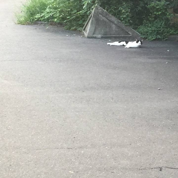 F69bd0e3 5510 4614 b922 38b0de8a1d29 1599237257506