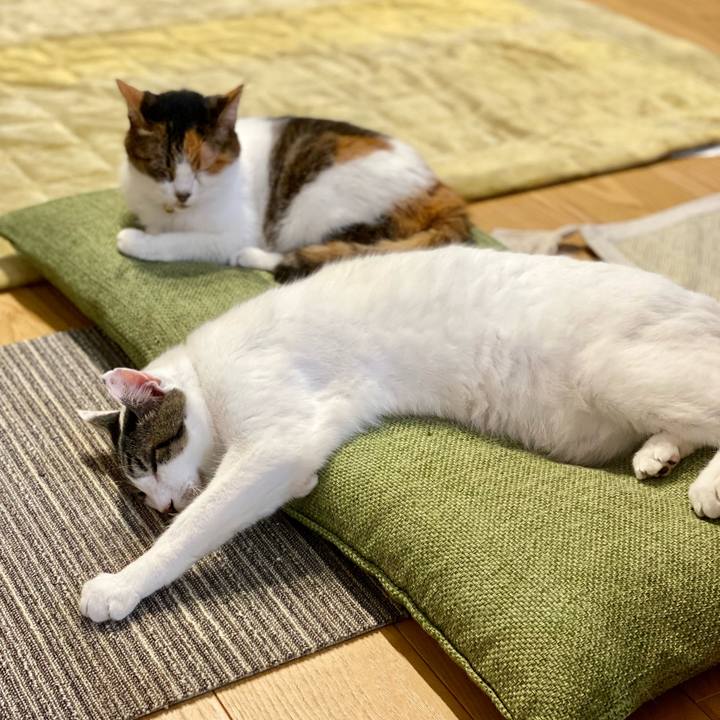 F69befdc 726a 4d7c 85e5 1b34b2897fb7 1675332767667