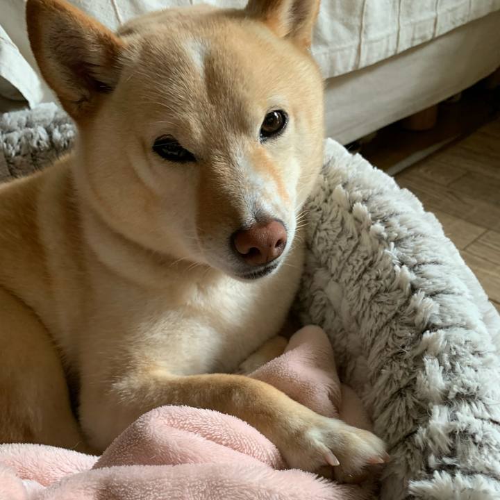 F69bf204 2621 44b9 8785 b29603852968 1652416308953