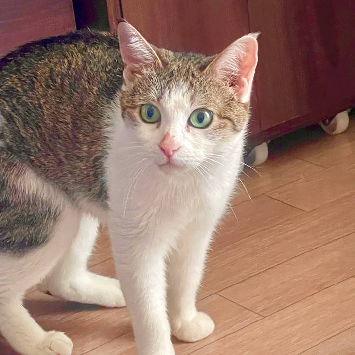 F69c03f5 9e20 4494 9270 07bbdb4c3190 1626650370950