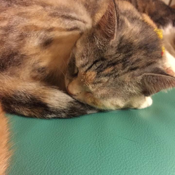 F69c207b f30c 4a1d b85a c004f892897e 1571363974004