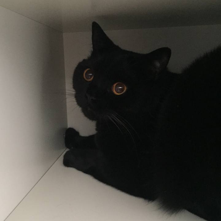 F69c25c7 dcaf 4733 b6a5 addd5c1279b7 1528772317387