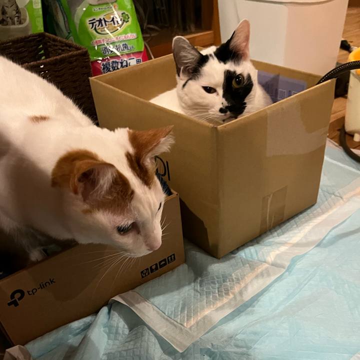 F69c70e9 fc28 44e3 889d efa7ddf054fc 1769435351889