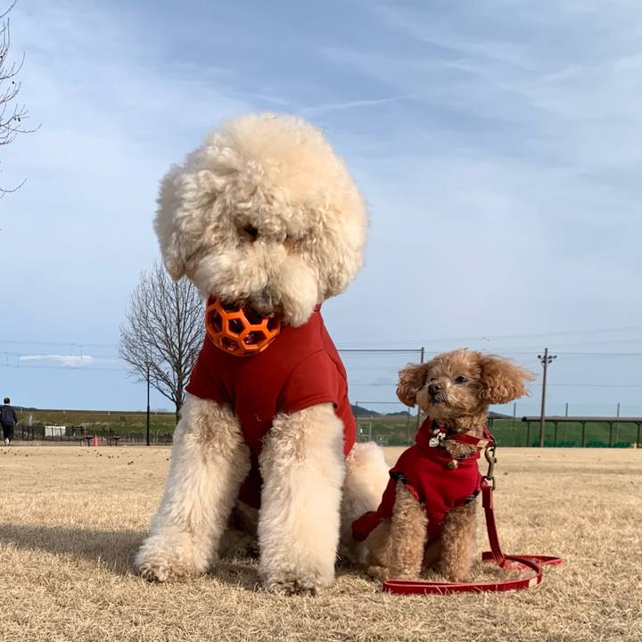 F69c70f7 fd24 4d22 917e 03f94d4f0aea 1769497134201