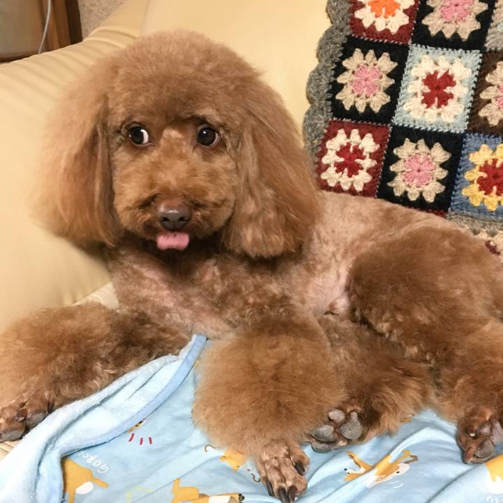 F69c89a7 c3cf 4594 9eb6 84a215a998f6 1525079842804