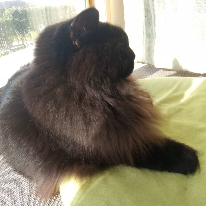 F69c9d96 dd4d 4ba6 b94c 1276e328fa18 1633907940406