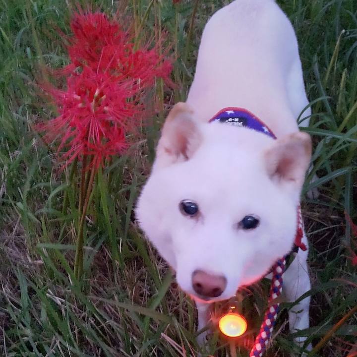 F69ca2be 3fd5 4d28 b19e 082f3bccf79a 1663753739495