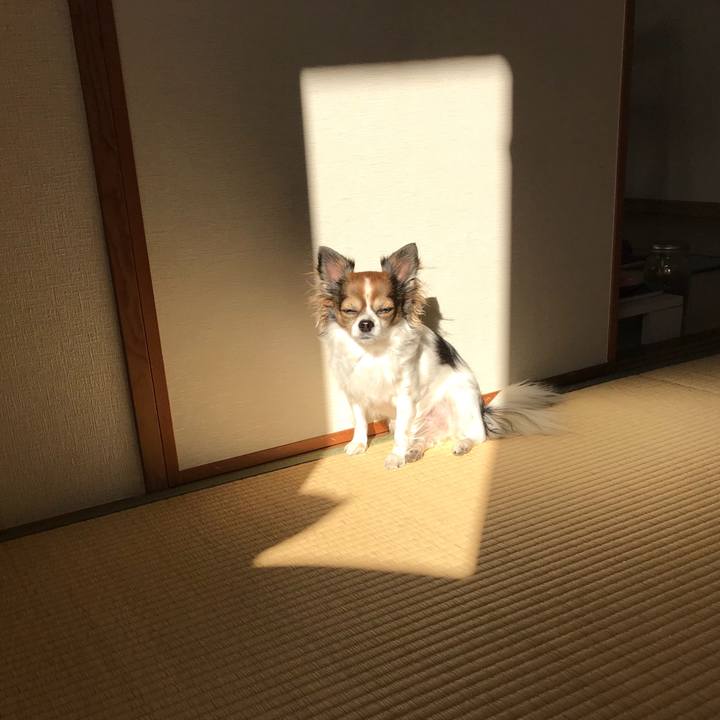 F69cb2a8 cc79 4d90 ac04 a07407cc8bee 1512436218241