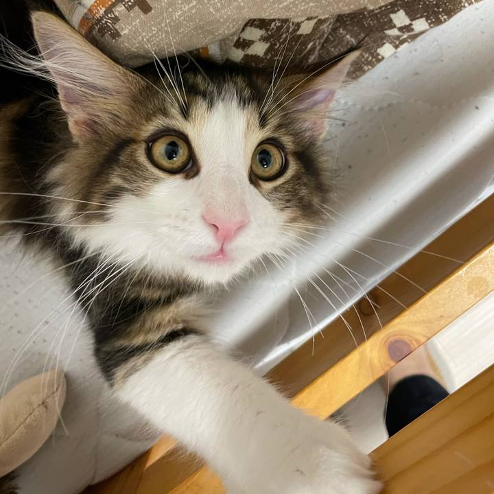 F69cb7ad e58e 4dee b0f2 65edb6797bd1 1633466939106