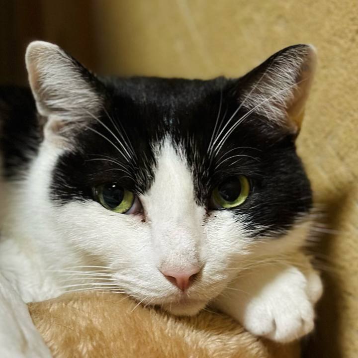 F69d02fb 4f92 45d9 a4fc 07785de52609 1702687271259