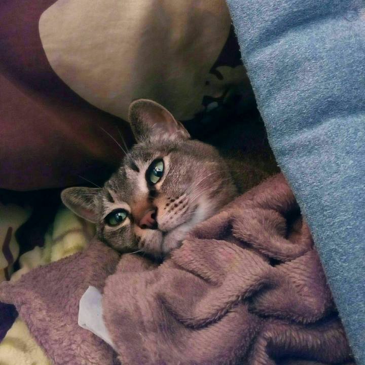 F69d183f 2762 4ebd b831 f1e4487e76e5 1524784714179