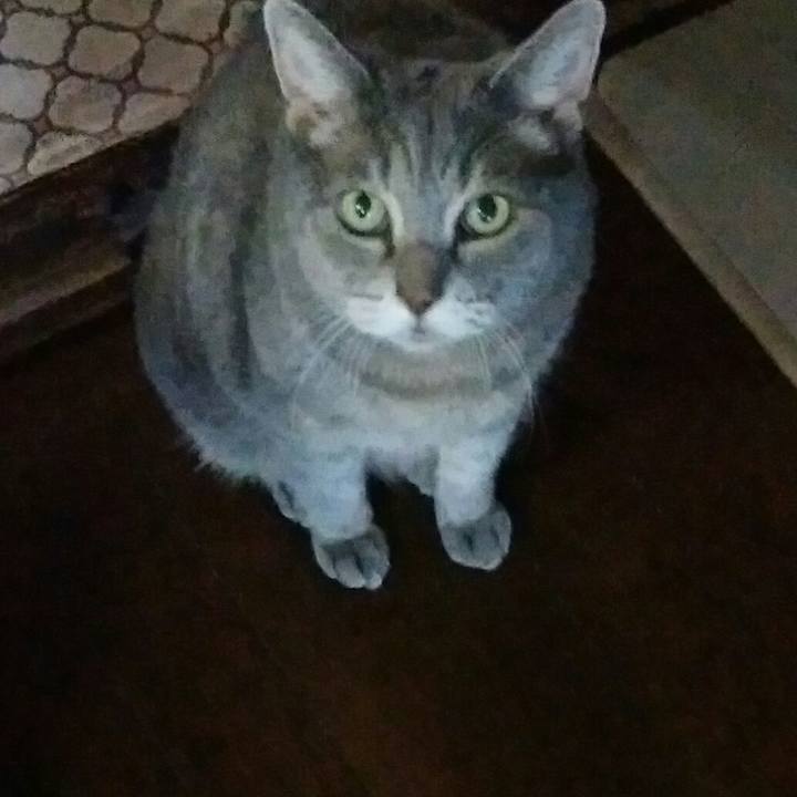 F69d4a09 c24d 486f 9425 881cbcd60139 1598766166609