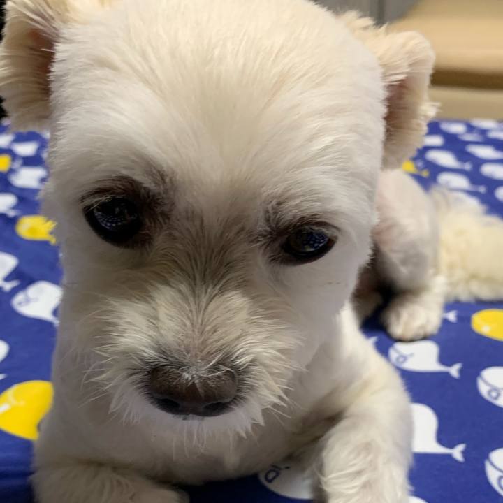 F69d6c3b 0379 4c66 a724 e6310eded6e2 1566992948399