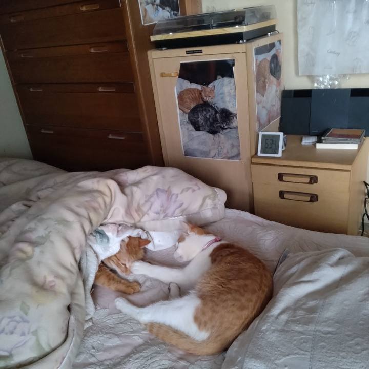 F69d82d7 9a5e 496d 94d0 07caa70bd20f 1743459317078