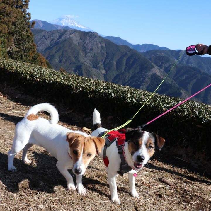 F69dd511 4c2c 40a8 9d2d 9ce63508b3c8 1515222225376