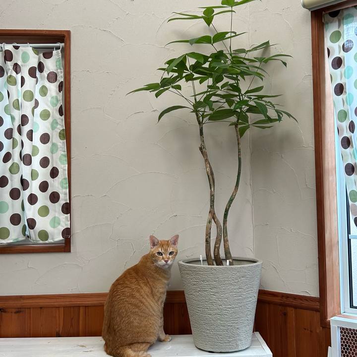 F69e0023 e567 46a3 a634 d7df1a94cc5a 1675555180099