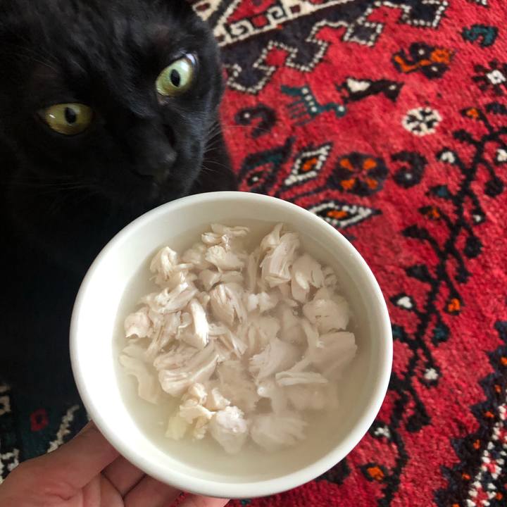 F69e0e42 c35d 4d59 9e2c d441d4d12151 1593087406140