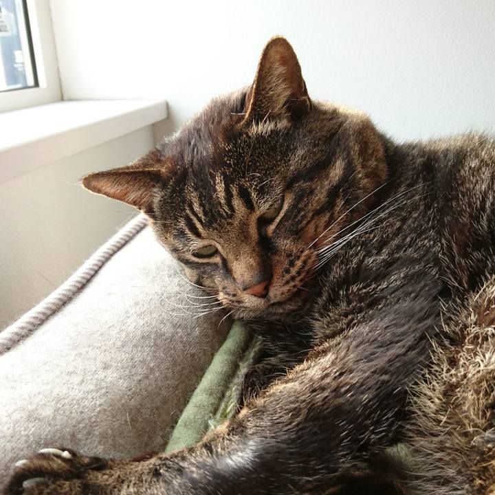 F69e10cf d1b2 4312 a57a 023c6b5a6f3a 1544517758609