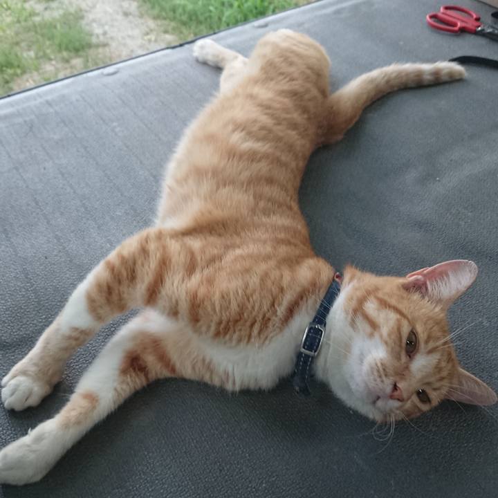 F69e2bc3 b562 47af a6b0 636e06ea17ca 1564131835630