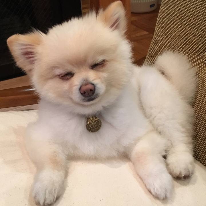 F69e4bd5 317c 43d7 8652 5a4f6ba8b102 1549718087626