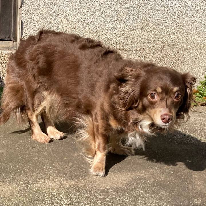 F69e75a4 f7c7 48be 9454 026b43349c21 1617179614167