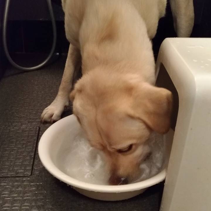 F69e7851 1eed 4433 9f06 cff3456a3d32 1536329668264